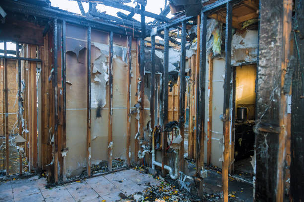 Professional Fire Damage Restoration technician working in Wolfe City, TX